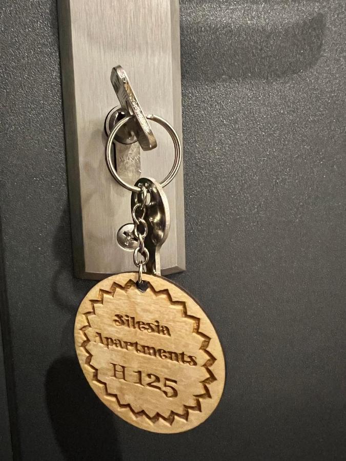 Silesia Apartments Ustron H125 Dış mekan fotoğraf